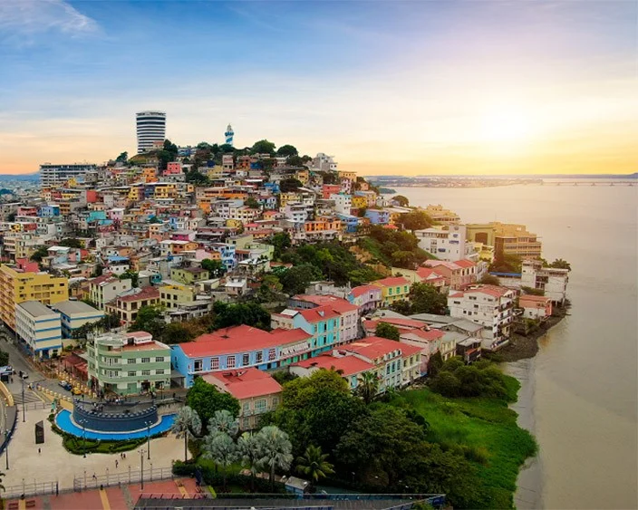 guayaqui-desarrollo web-itjaxons.jpg